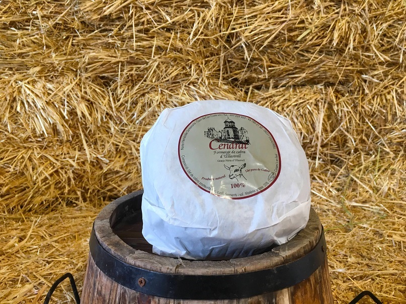 Cendrat goat cheese - 1kg