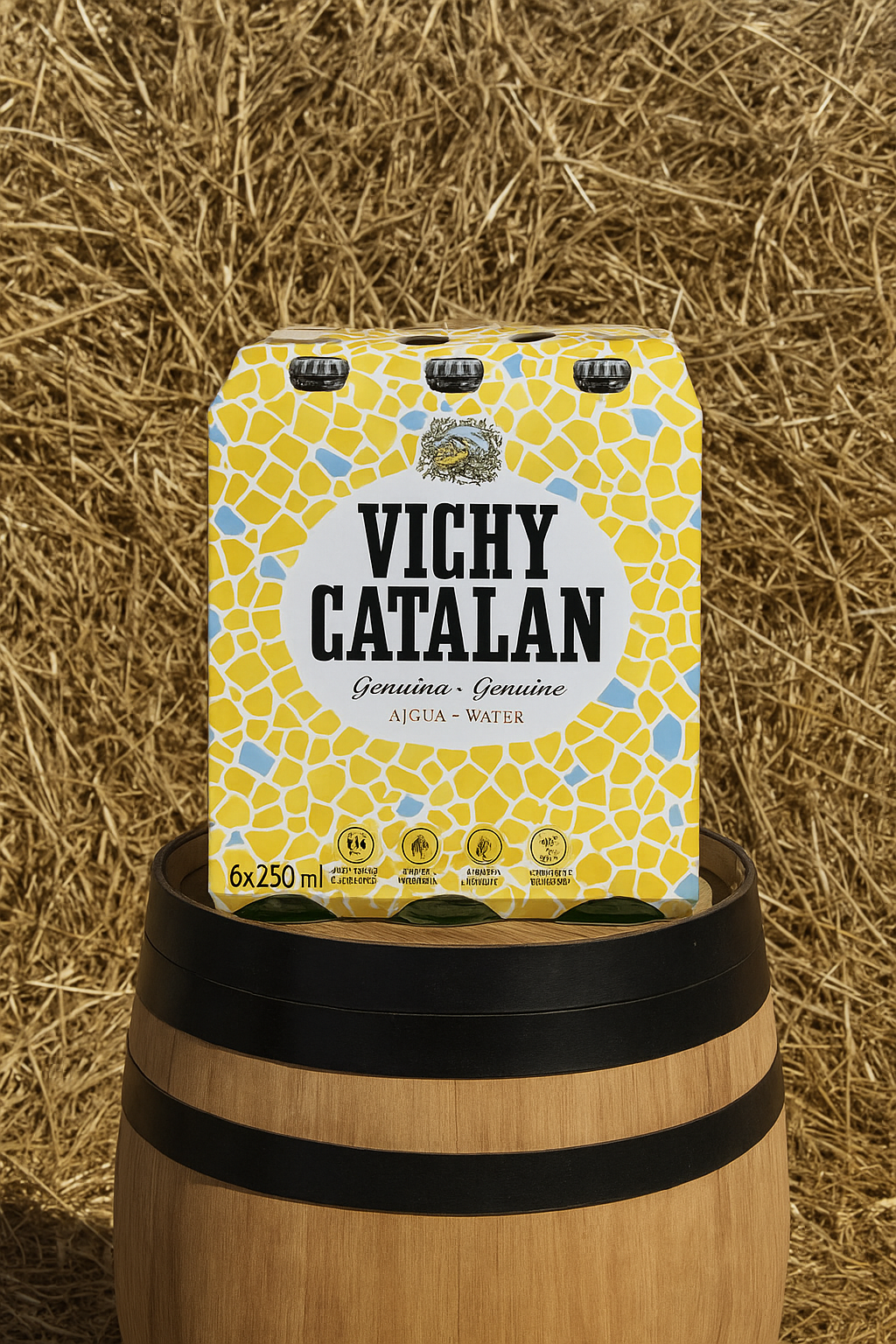 Vichy Catalan 300 ml (6 units)
