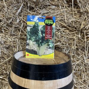 Green Swiss chard seeds Fitó