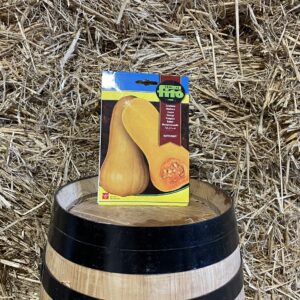 Butternut Squash Seeds Phyton