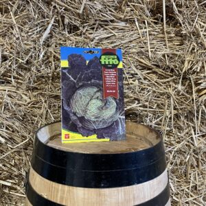Milan cabbage seeds Milán Leo Fitó