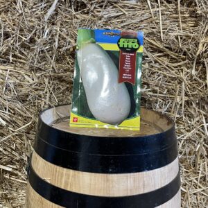 Turnip seeds Virtuts Hammer Fitó