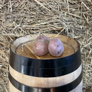 Pontiac potato
