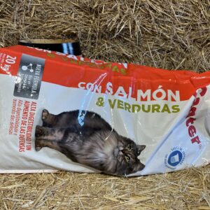 Cat food Canter - Salmon and vegetables 20kg