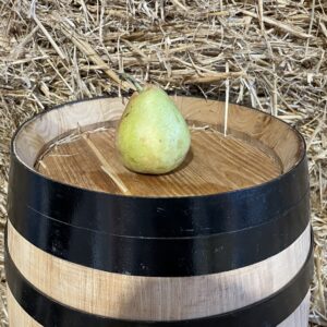 Pear Ercolina