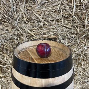 Red Plum
